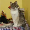 Отзыв от Анжела Парамонова